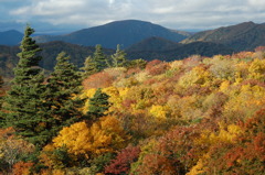 栗駒山の紅葉