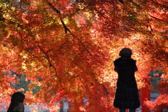momiji