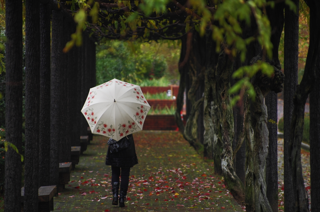『雨に咲く』