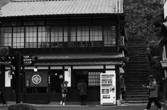 『miyajima 17』