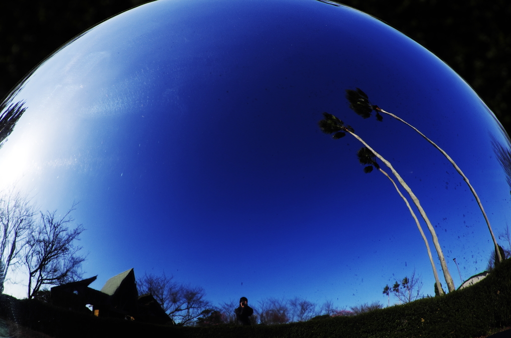 『The small world』