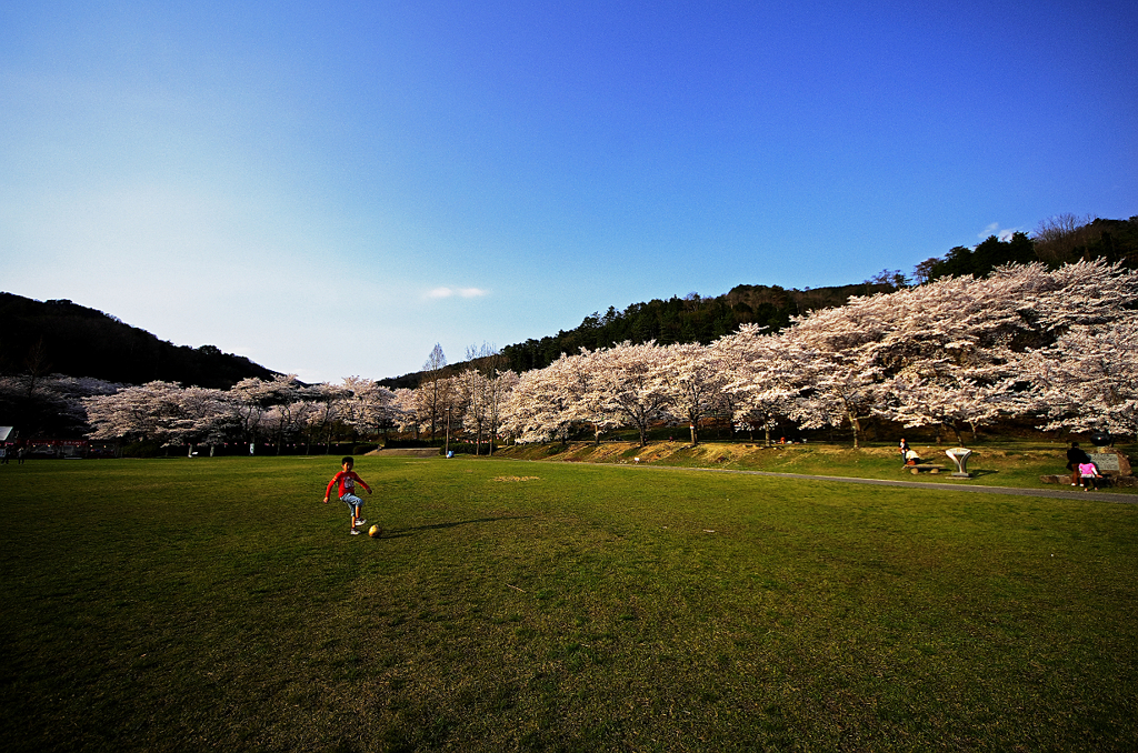 『play』