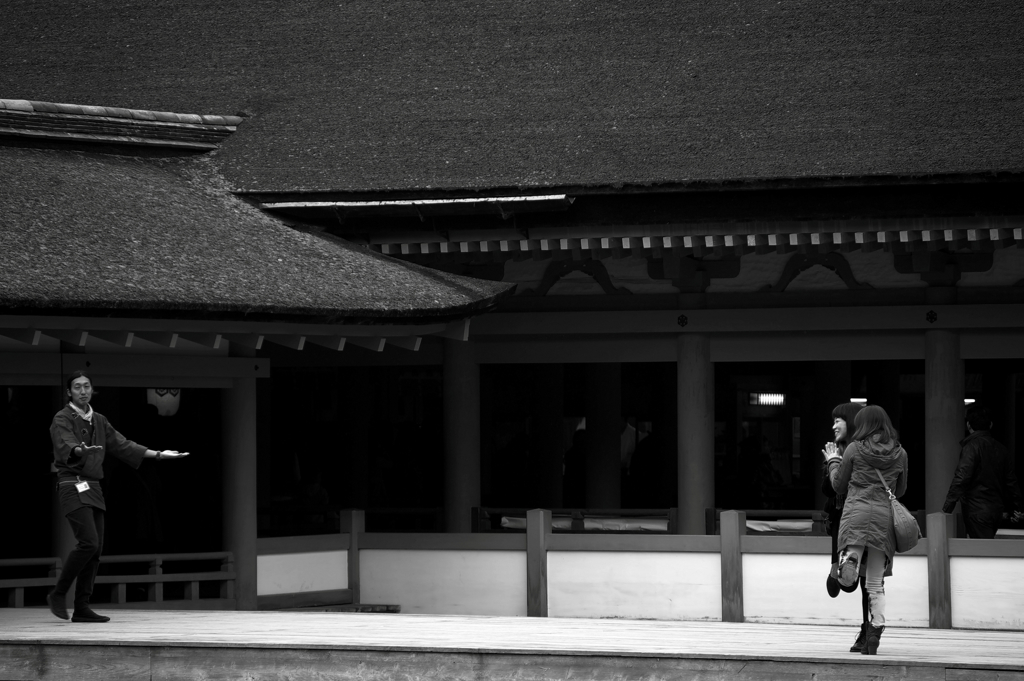 『miyajima 03』