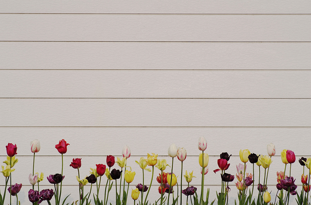 『horizontal line』