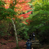 『miyajima 13』