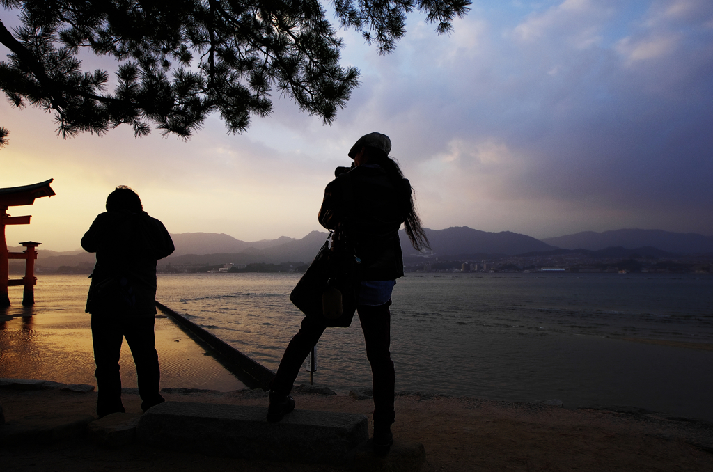 『miyajima 35』