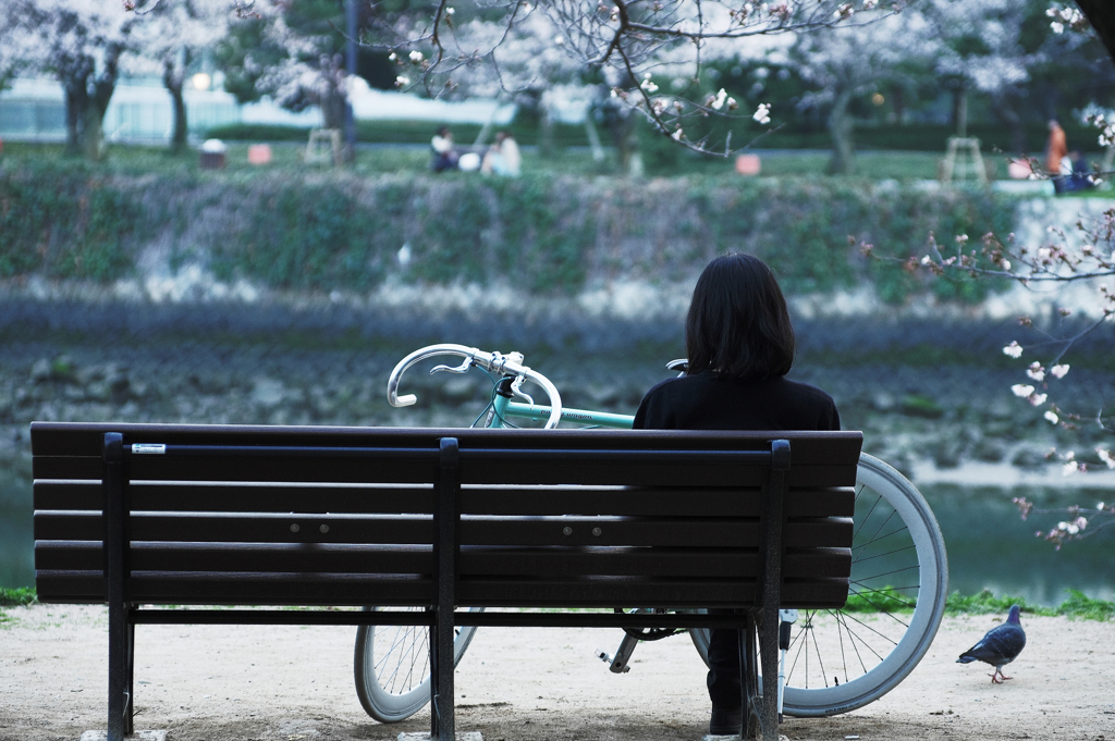 『鳩と自転車と私』