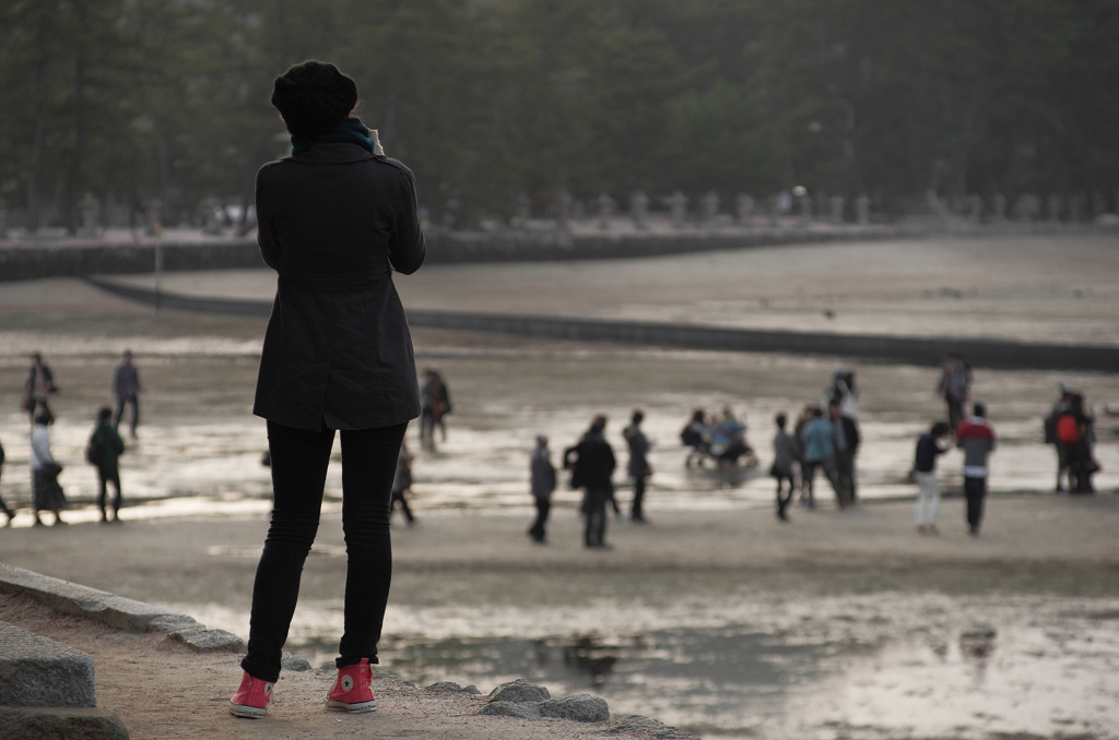 『miyajima 30』