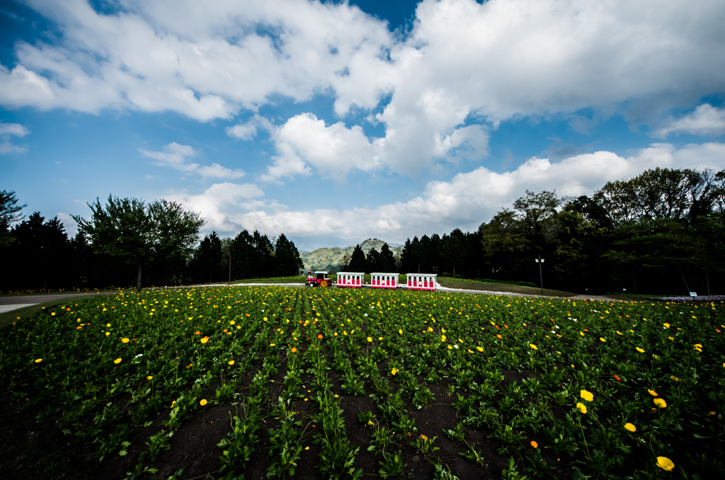 『train』