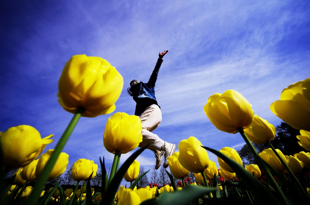 『jumping women!!』