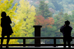 『miyajima 10』