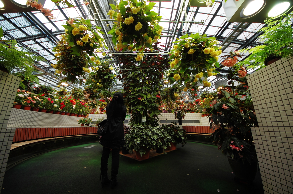 『glasshouse』