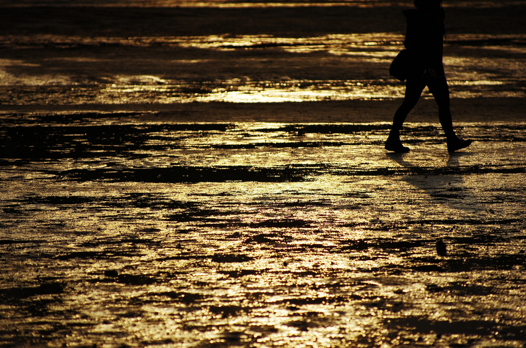 『miyajima 27』