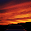 『nightfall』