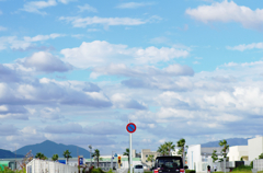 『traffic sign』