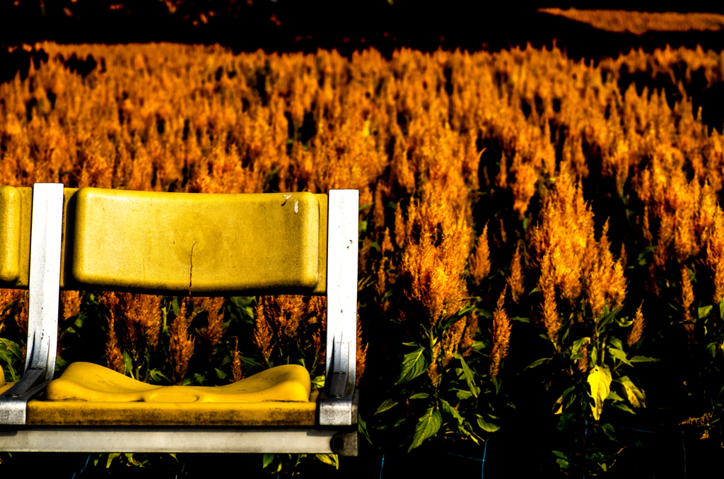 『bench』