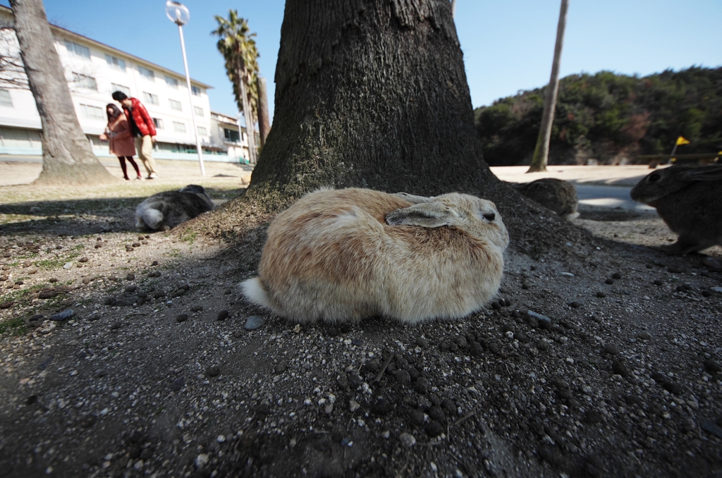 『ぼたもち。』