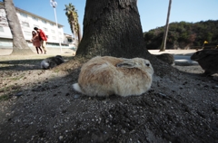 『ぼたもち。』