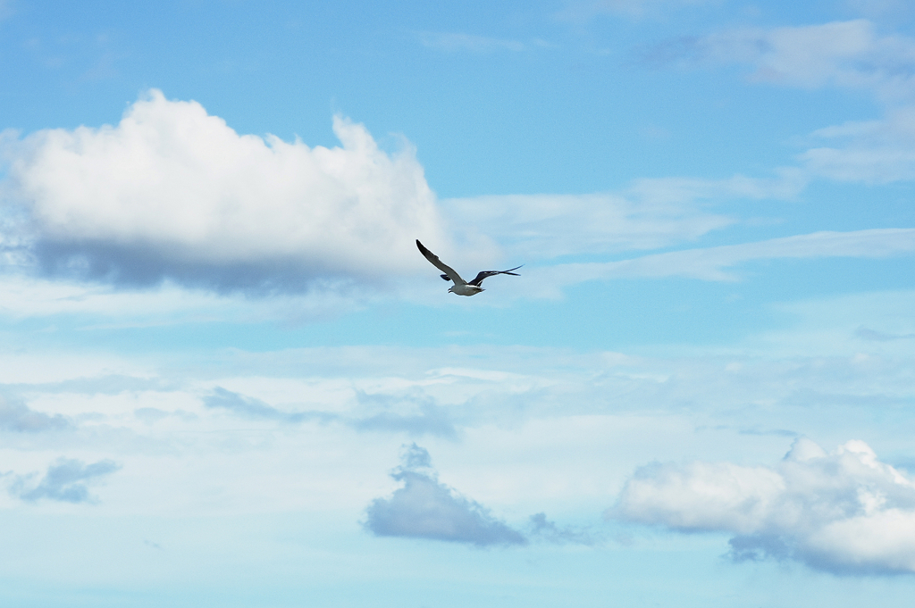 『空へ』