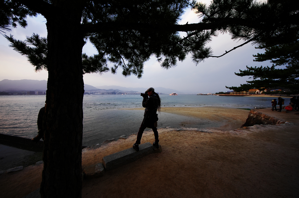 『miyajima 37』