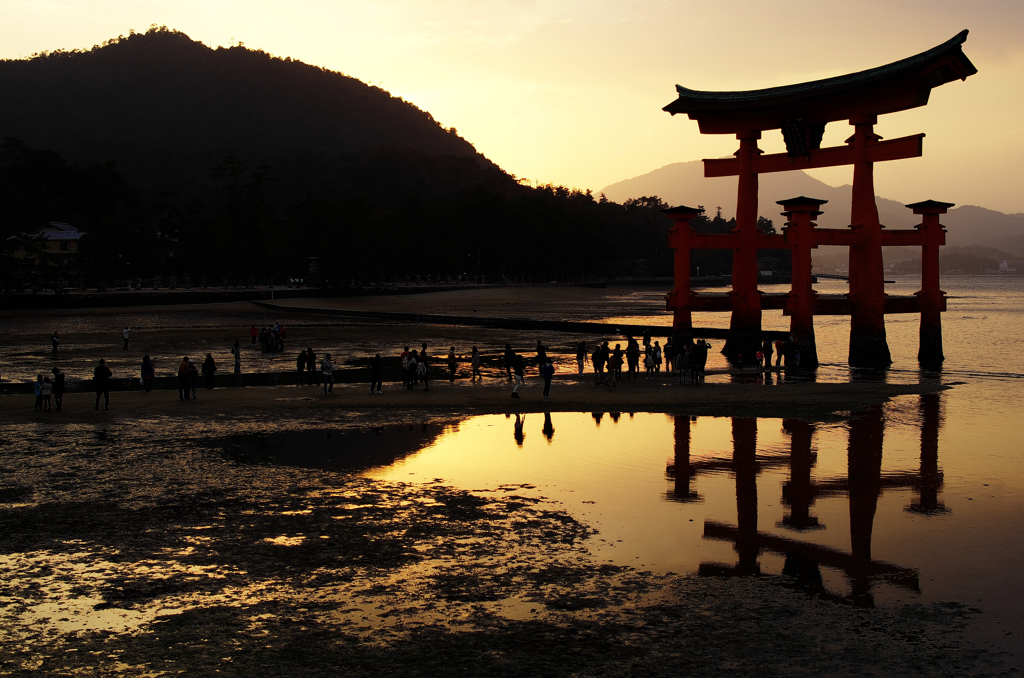 『miyajima 34』