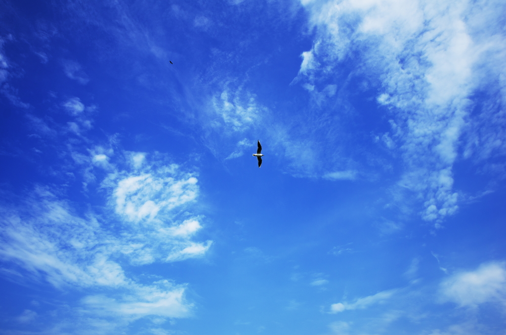 『blue sky』