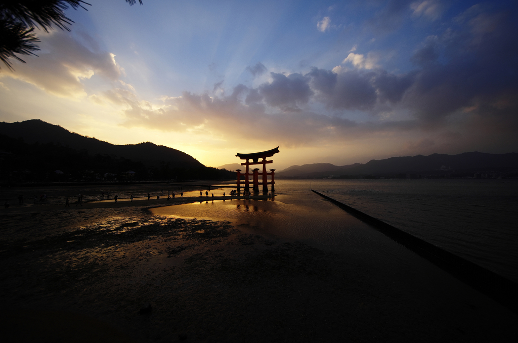 『miyajima 36』