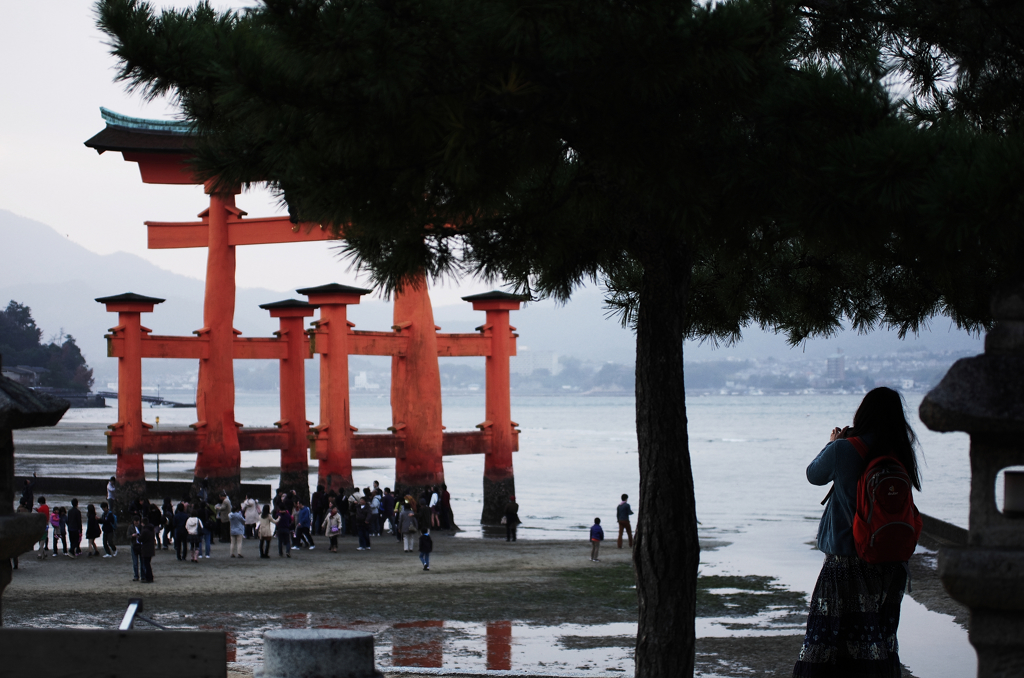 『miyajima 33』