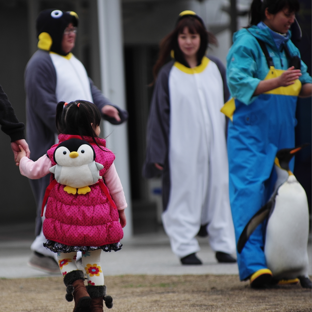 『penguin』