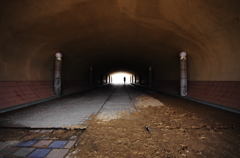 『To the light』