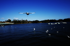 『wings Ⅲ』