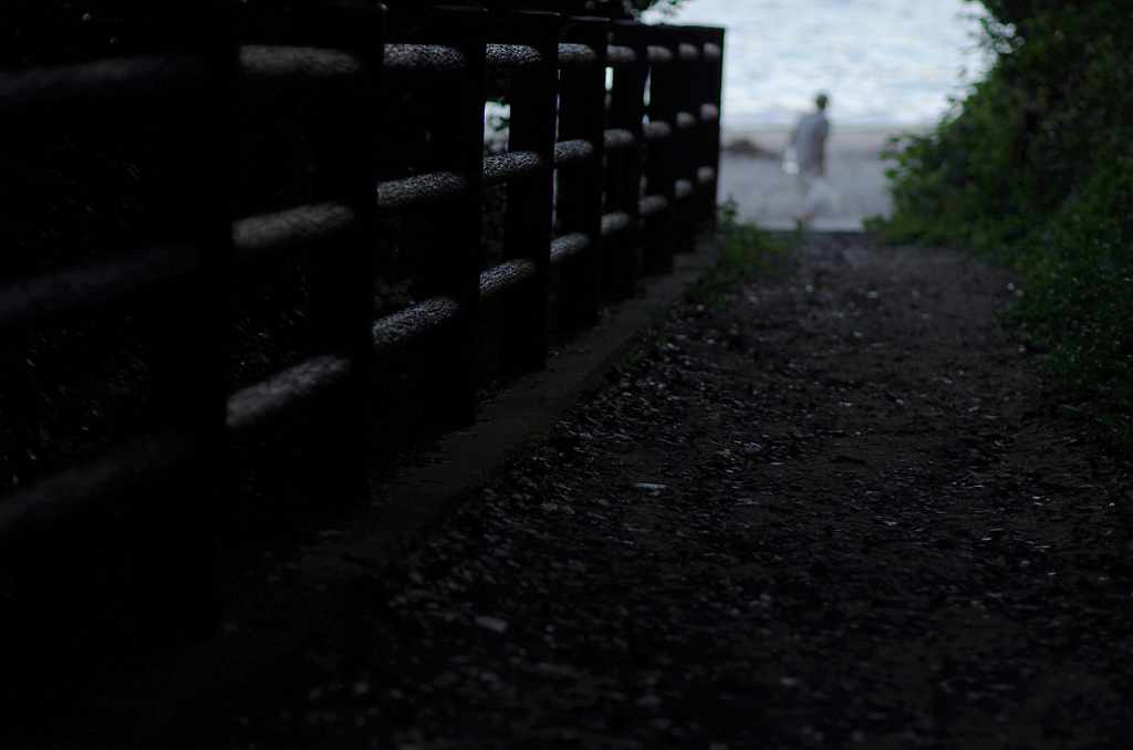 『海へ・・・』