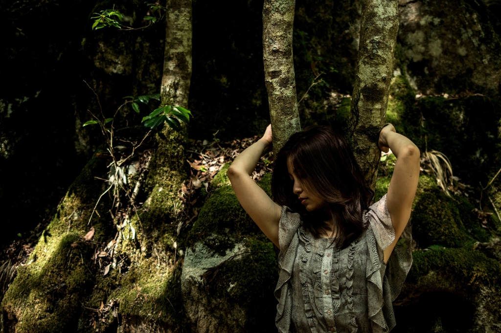 『forest』