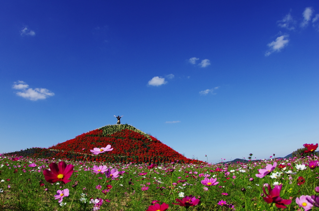 『autumn wind』