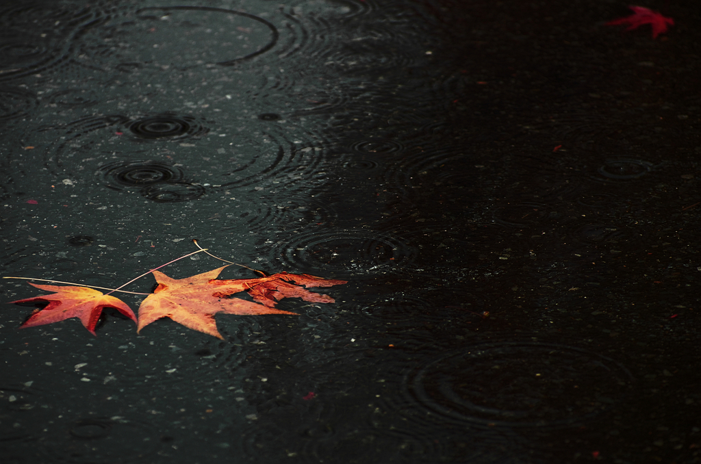 『雨』