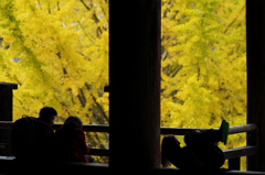 『miyajima 09』