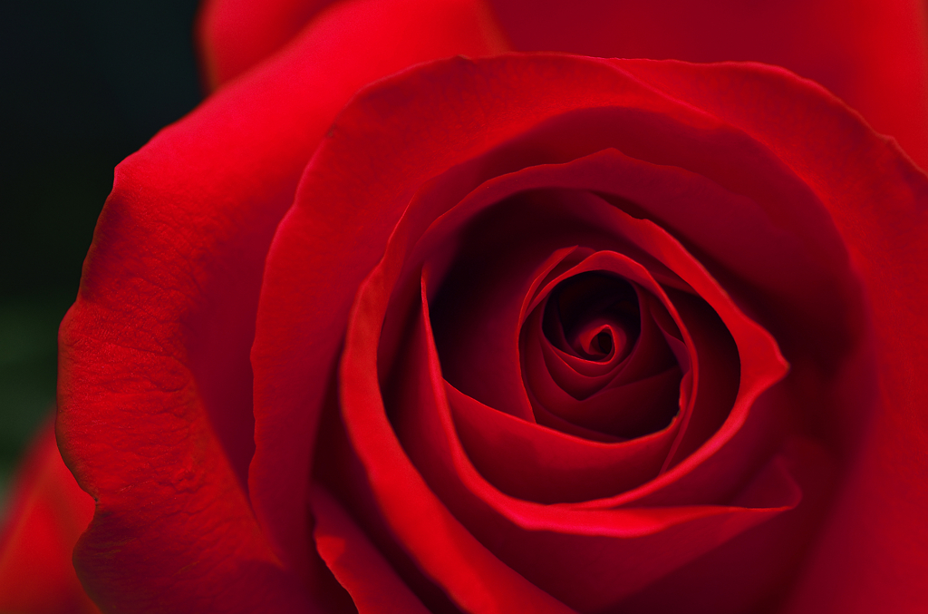 『Crimson』