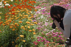 『flower garden』