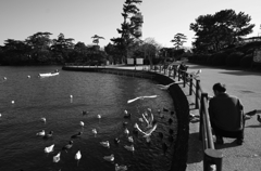 『wings Ⅱ』