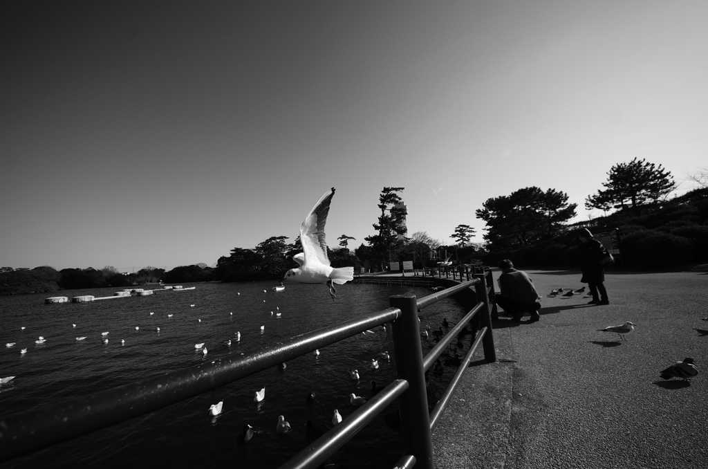 『wings Ⅰ』
