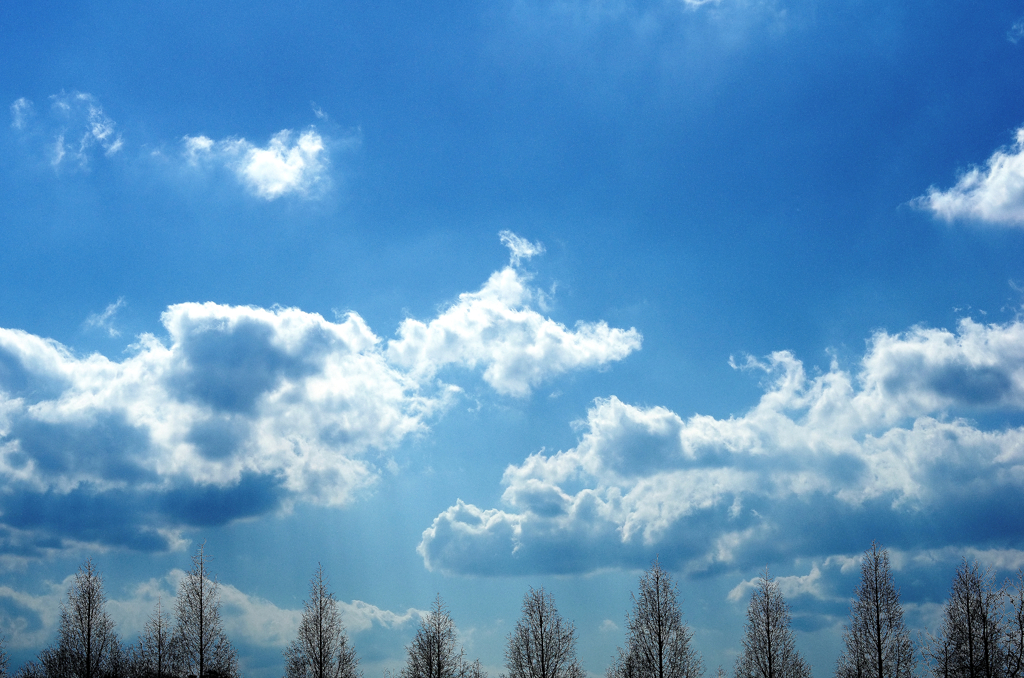 『the blue sky』