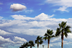 『夏空』