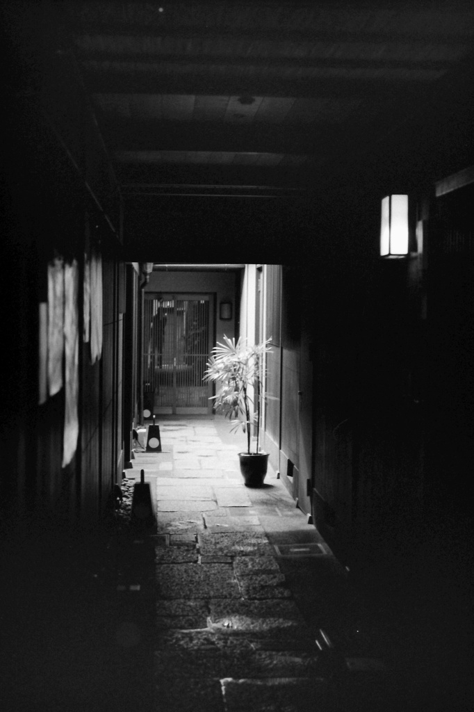 路地裏
