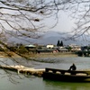 arashiyama