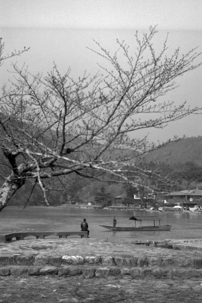 arashiyama 2