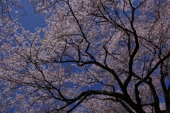青空を割って