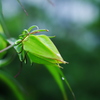 朝の表情
