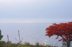 秋の中海