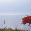 秋の中海