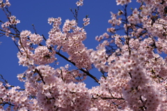 空へ